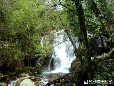 Cerezos flor Jerte; Nogaleas; turismo rural; senderismo madrid rutas;sierra de guadarrama madrid